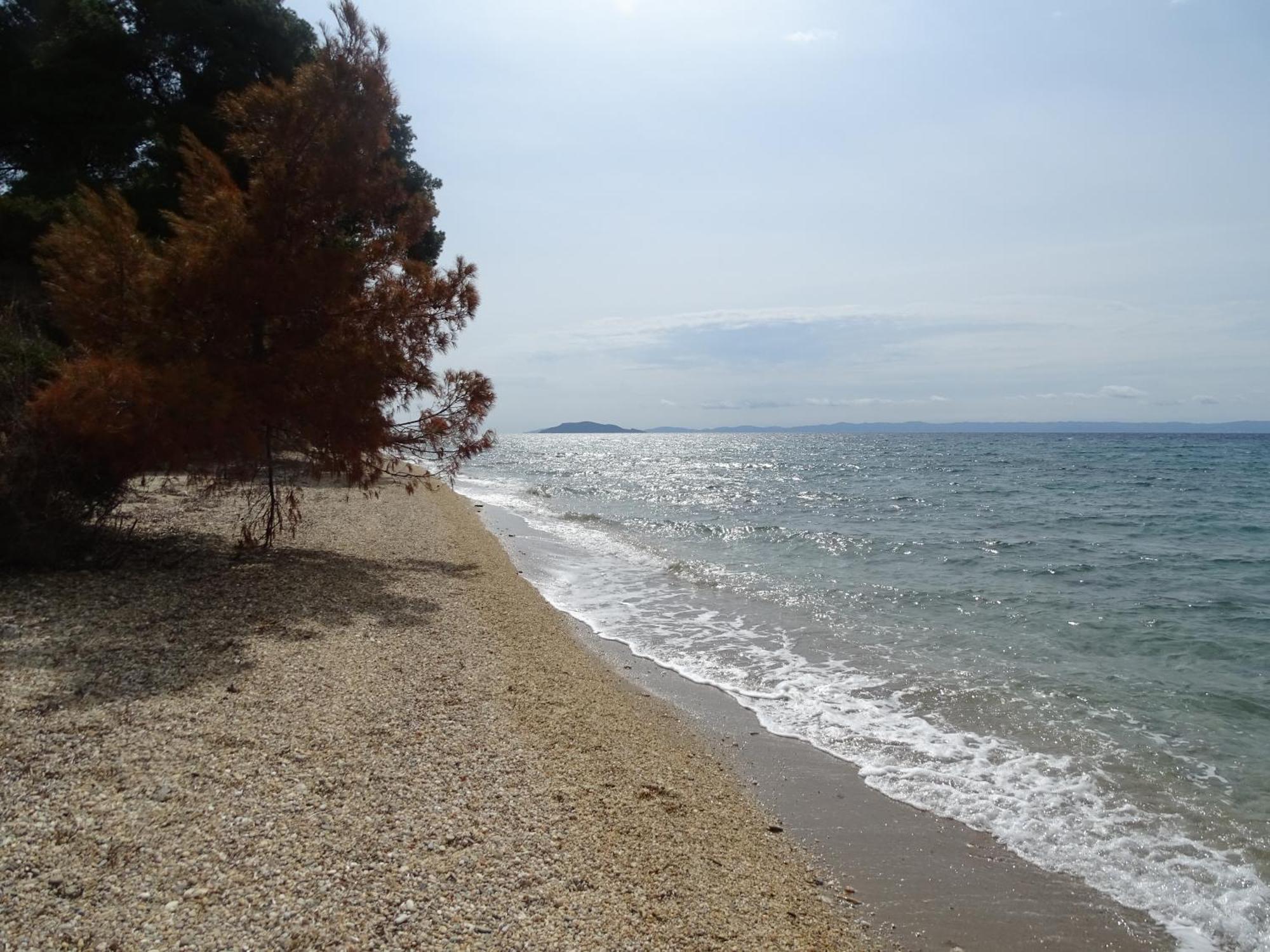 Front Of The Sea * Elia Nikitis