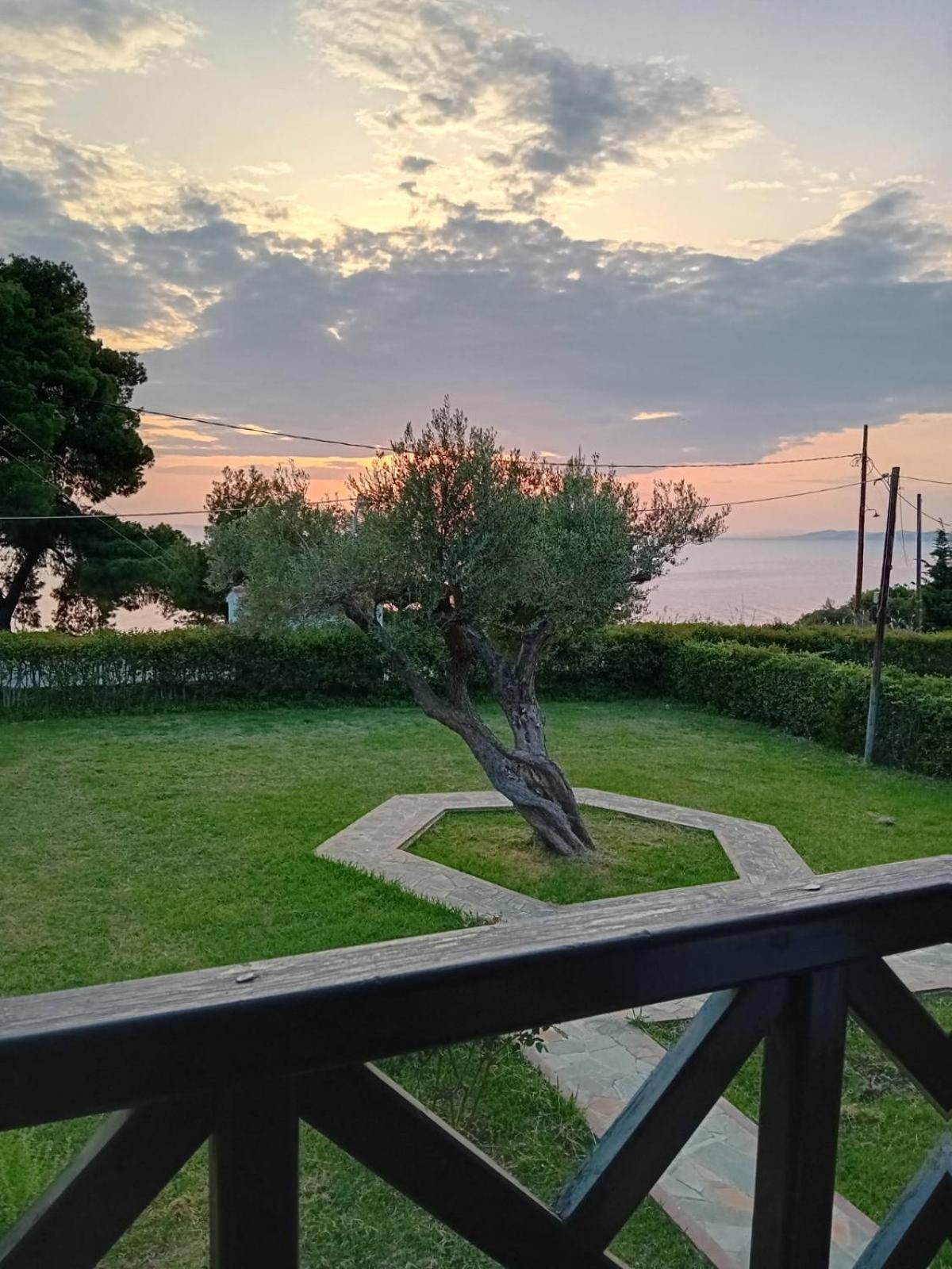 Front Of The Sea *