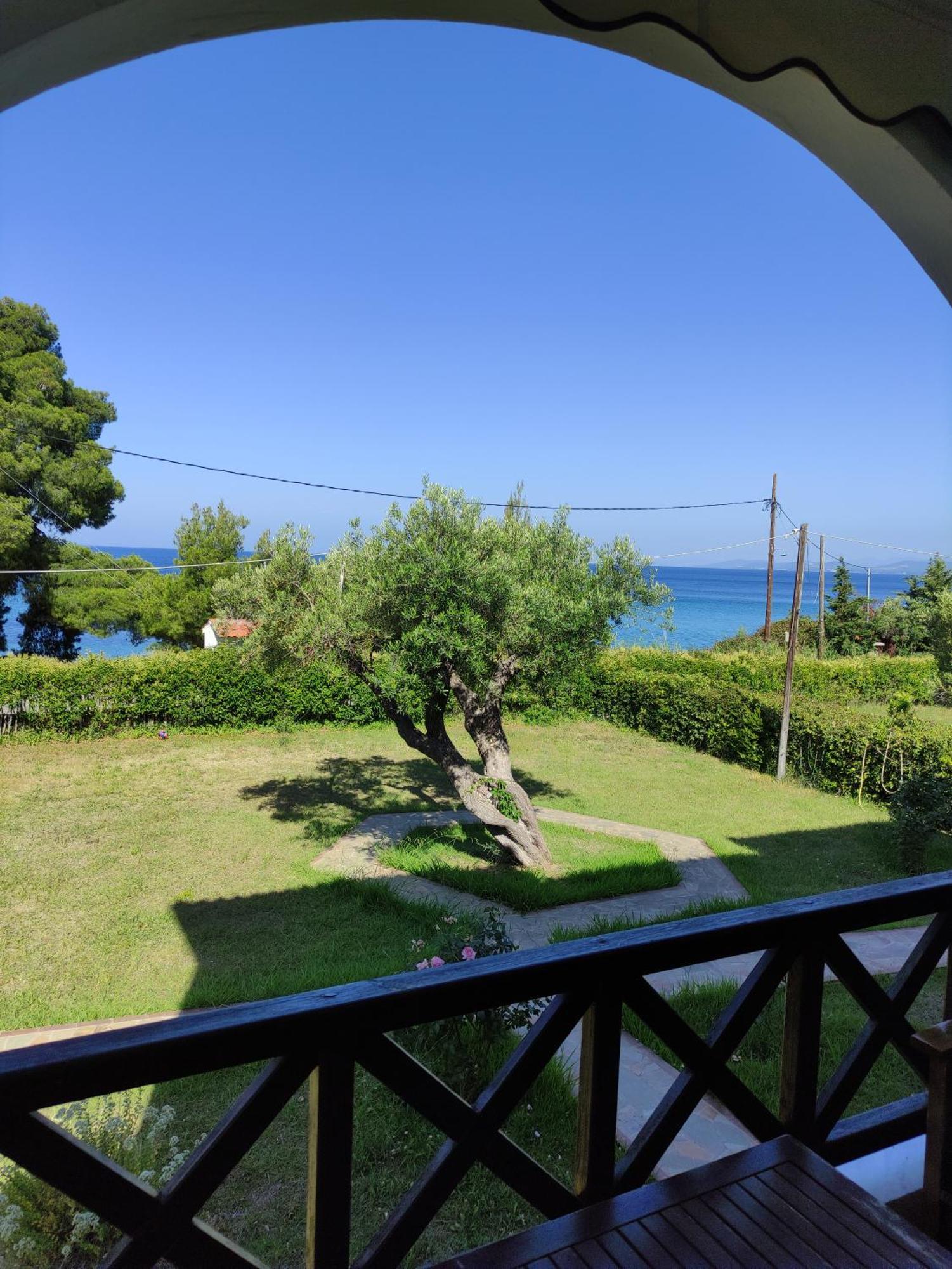 Apartment Front Of The Sea