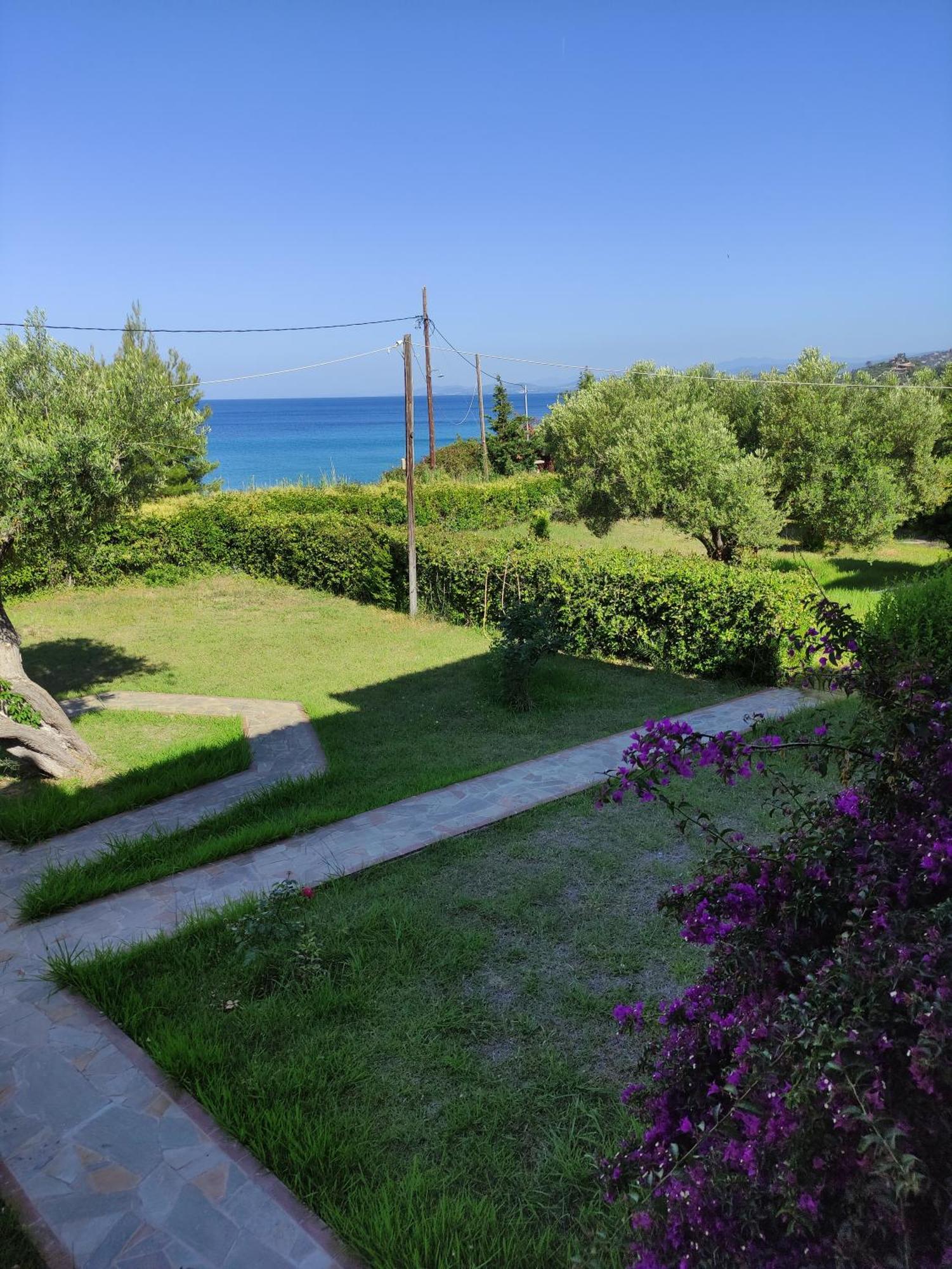 Apartment Front Of The Sea *