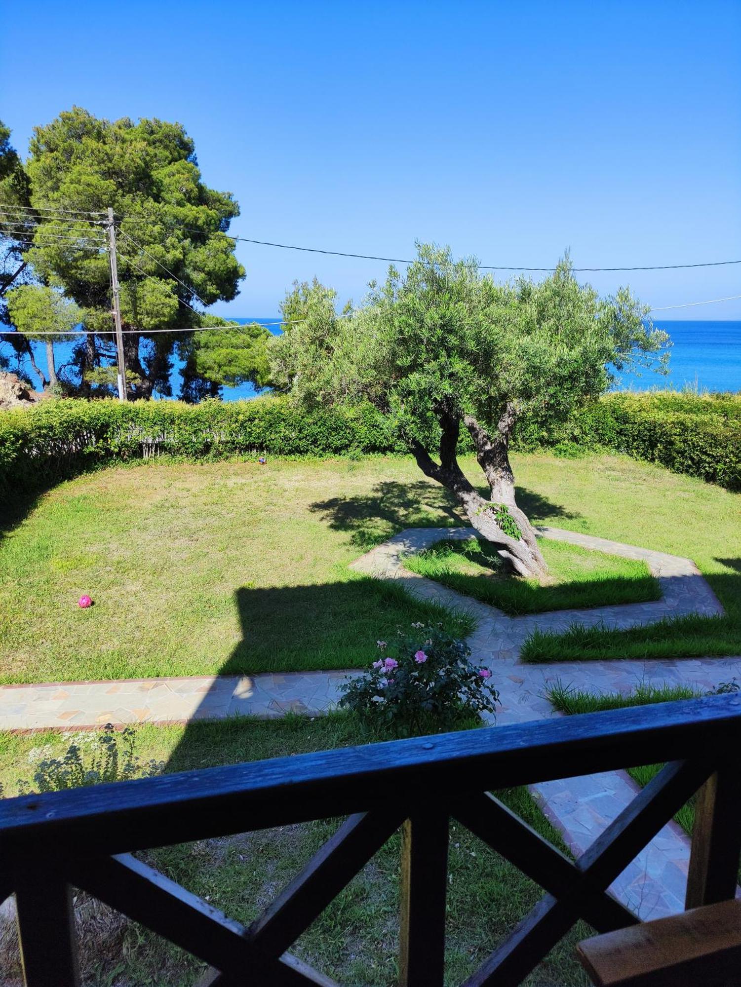 Apartment Front Of The Sea Elia Nikitis