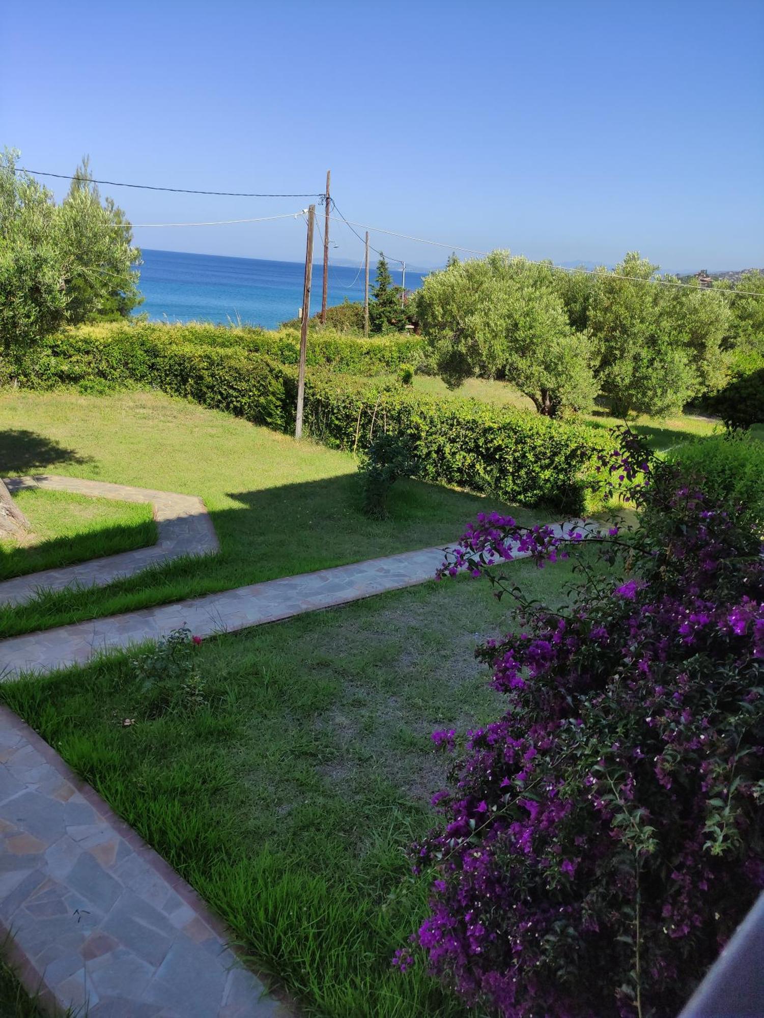 Front Of The Sea Apartment Elia Nikitis